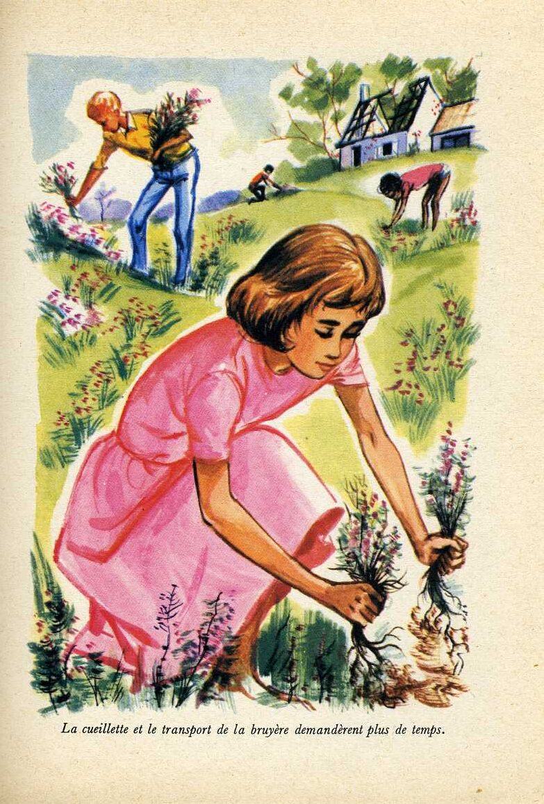 BLYTON Distingue838
