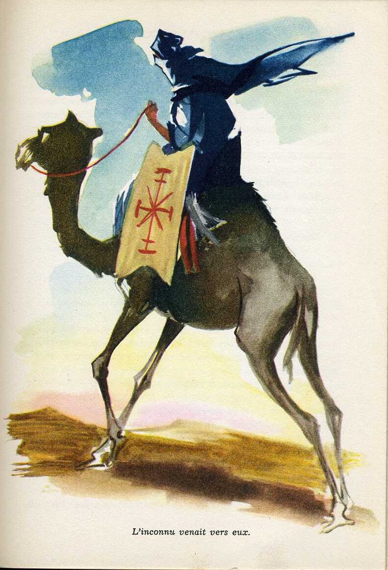 PALUEL Saharienne704