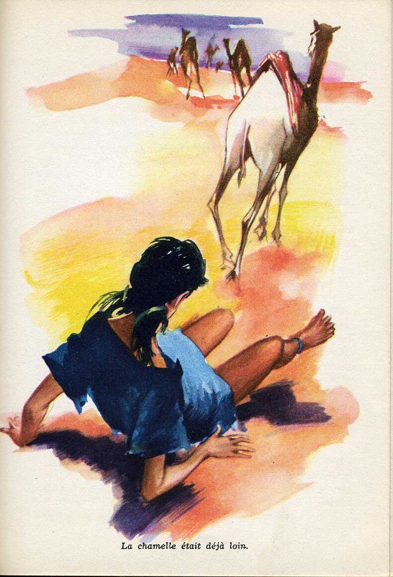PALUEL Saharienne705