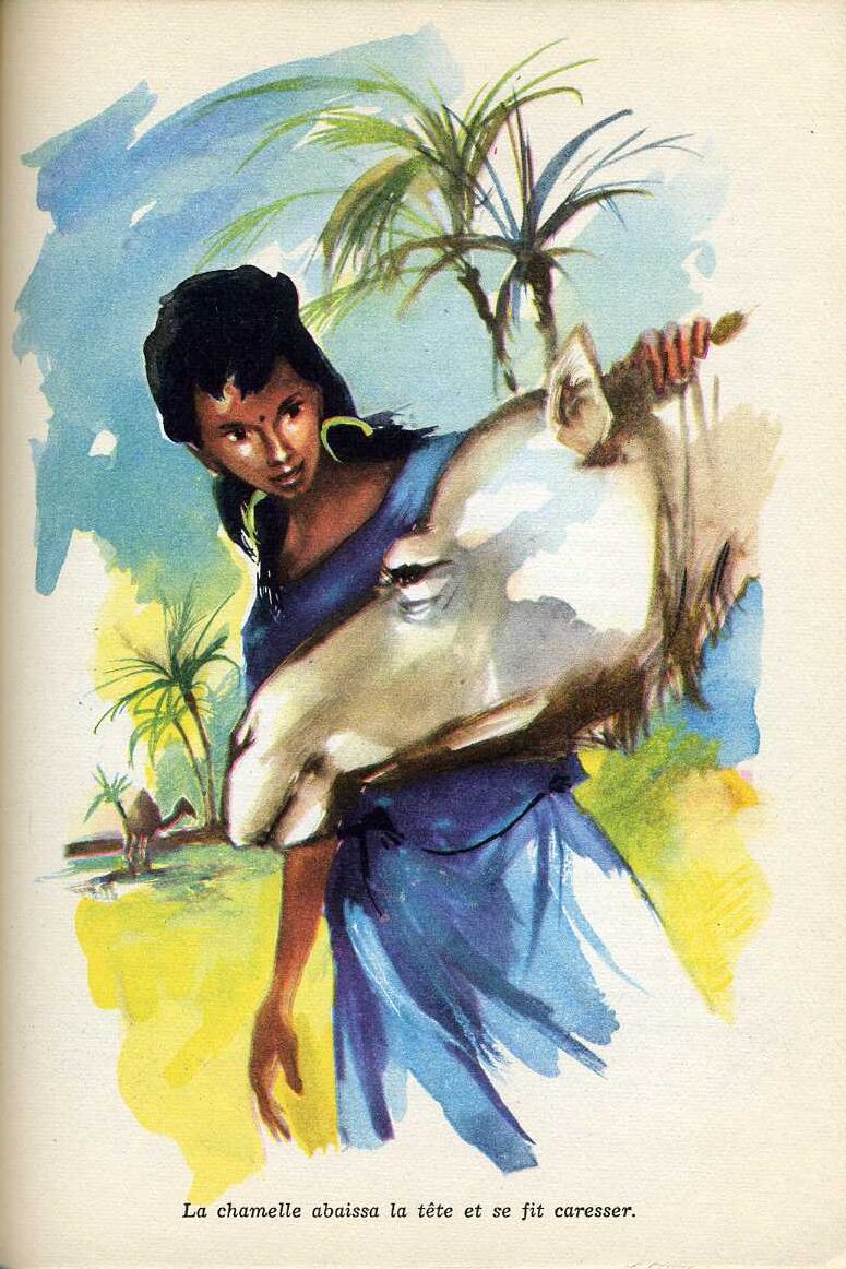 PALUEL Saharienne709