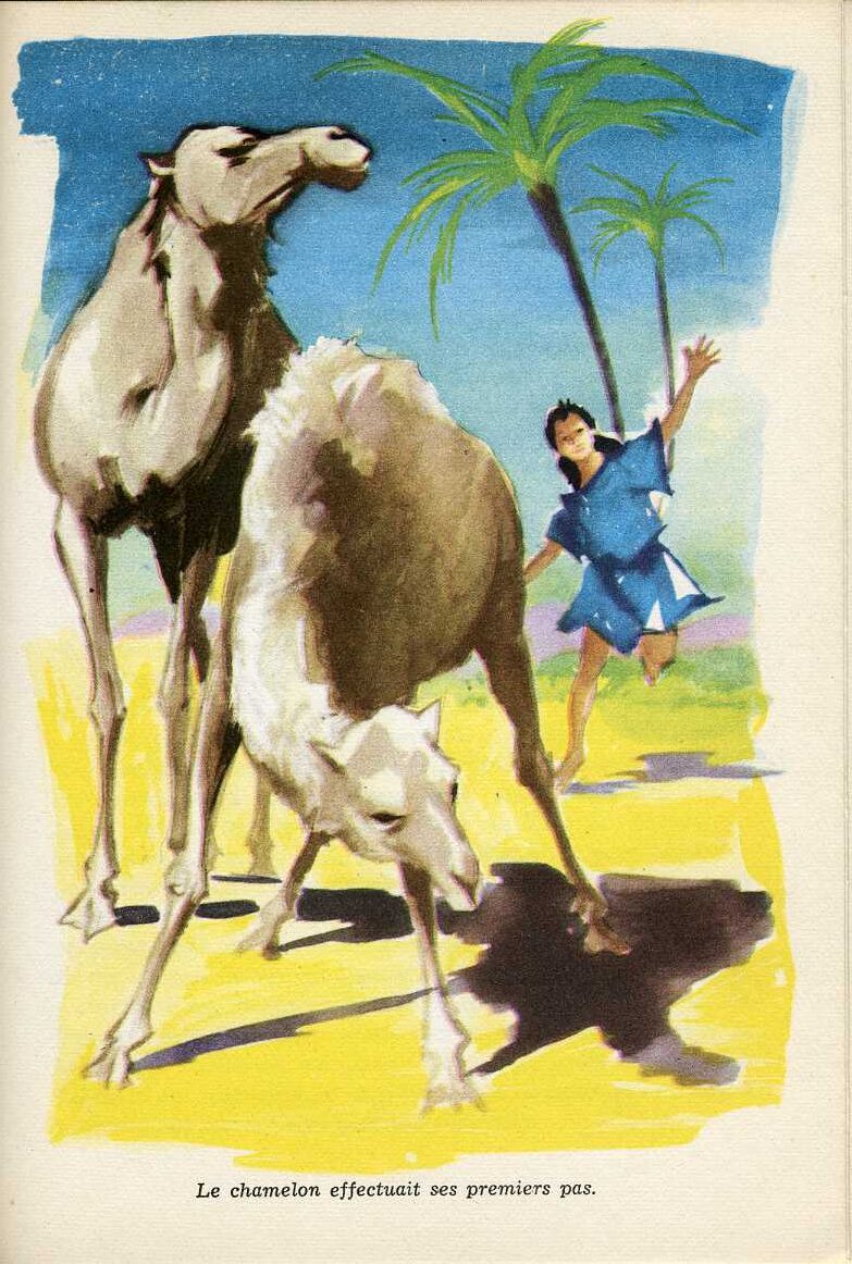 PALUEL Saharienne710