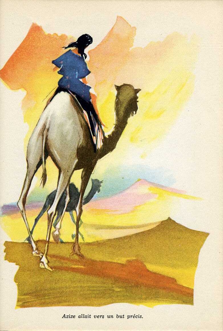 PALUEL Saharienne711