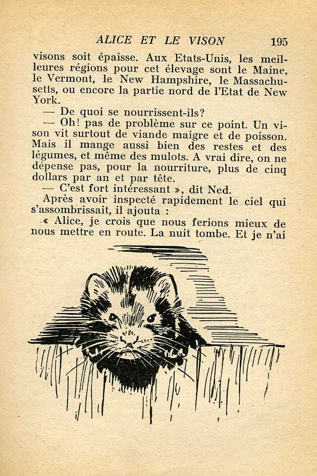 QUINE vison404