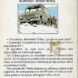 BONZON Phoques029