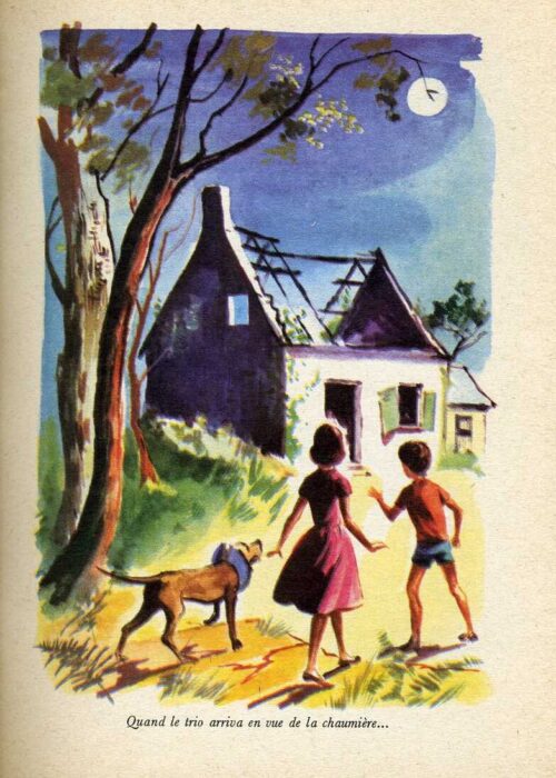 BLYTON Distingue835
