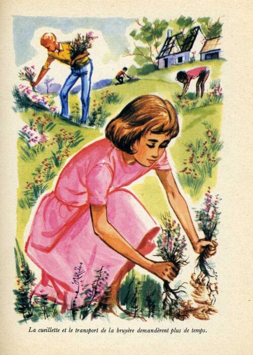 BLYTON Distingue838