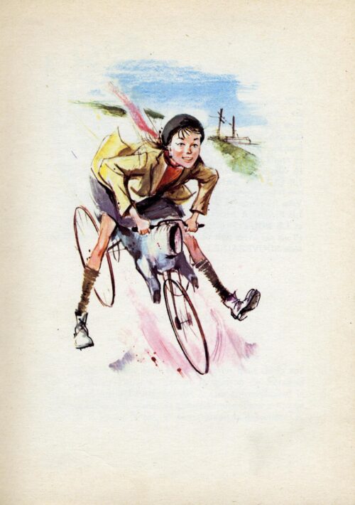 BERNA Cheval -61 - 1