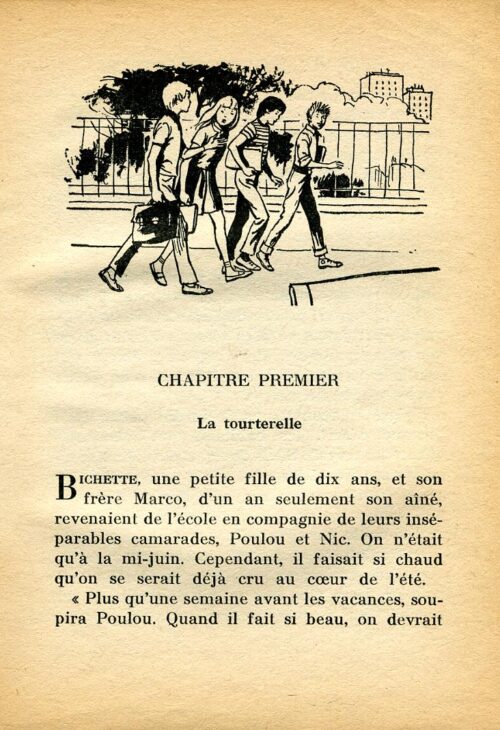 BONZON Tourterelle BR - 14