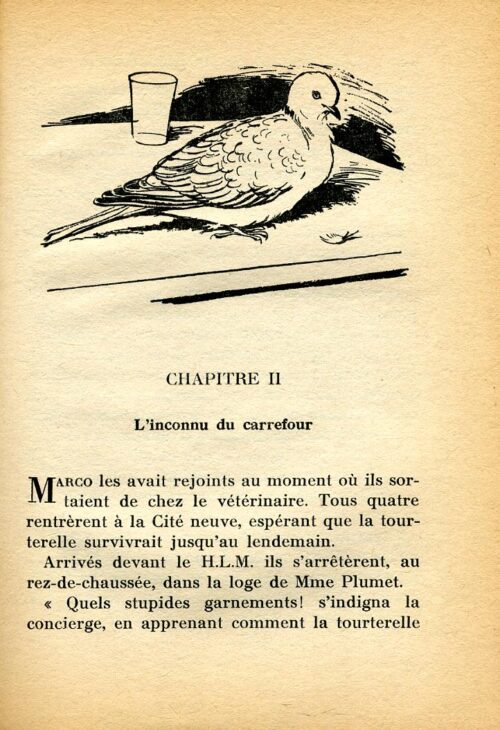 BONZON Tourterelle BR - 17