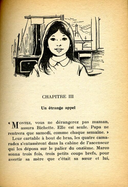 BONZON Tourterelle BR - 19