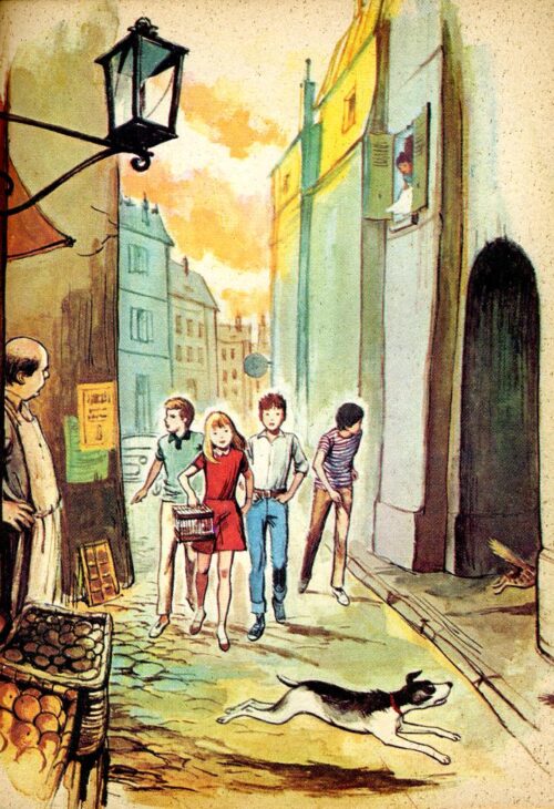 BONZON Tourterelle BR - 20