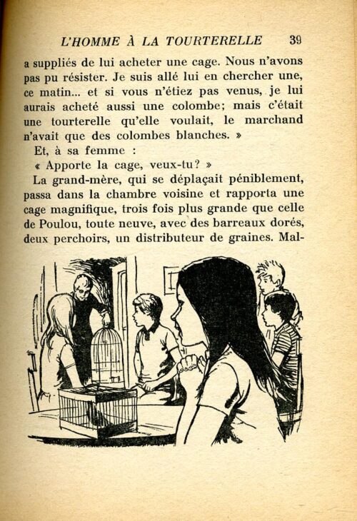 BONZON Tourterelle BR - 23