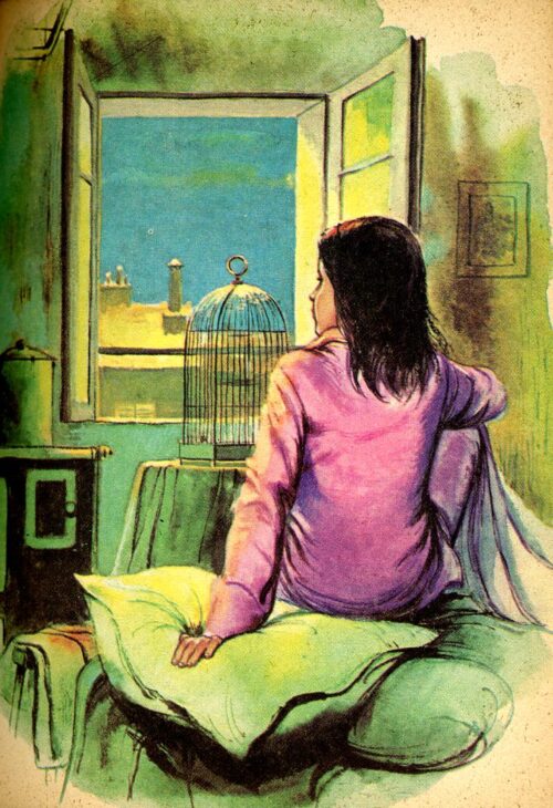 BONZON Tourterelle BR - 28