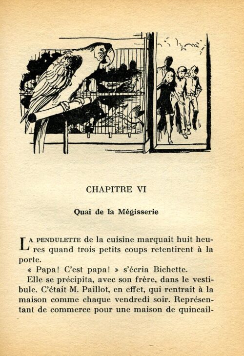 BONZON Tourterelle BR - 29