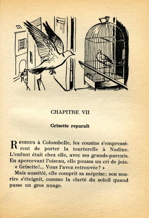 BONZON Tourterelle BR - 30