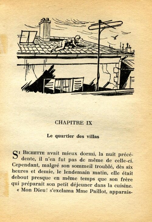 BONZON Tourterelle BR - 33