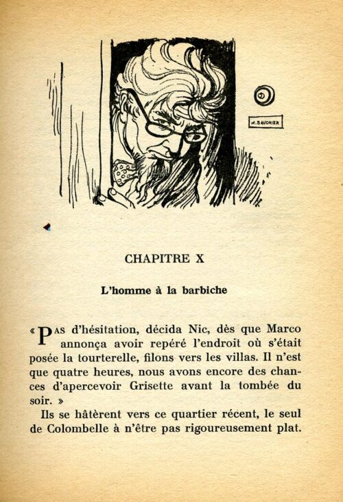 BONZON Tourterelle BR - 34