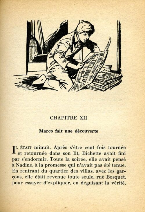 BONZON Tourterelle BR - 37