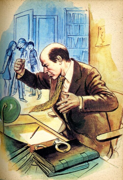 BONZON Tourterelle BR - 38