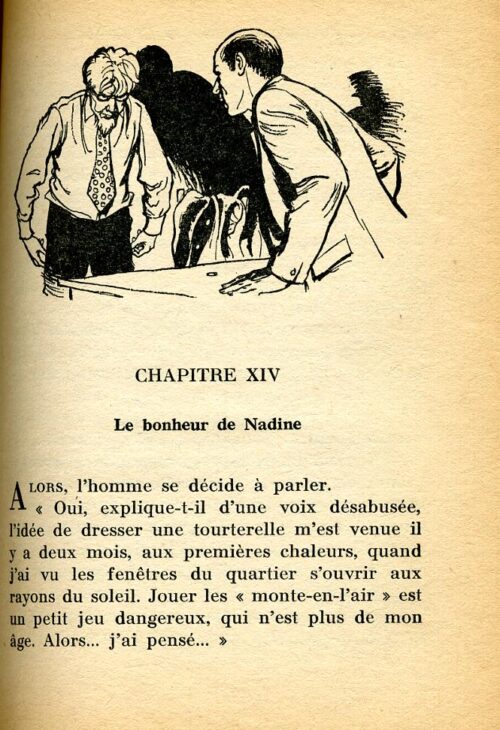 BONZON Tourterelle BR - 40