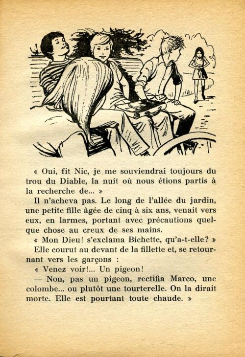 BONZON Tourterellle BR- 15