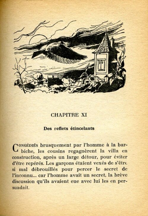 BONZON Tourterlle - 36