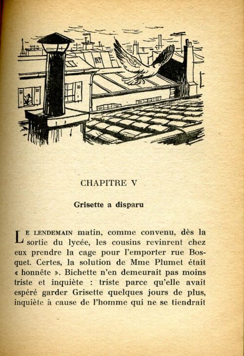 BONZON Tourterlle BR - 27