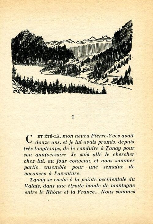 EBLY Diamant - 1