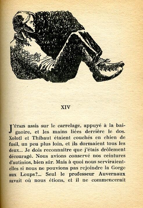 EBLY Diamant - 26