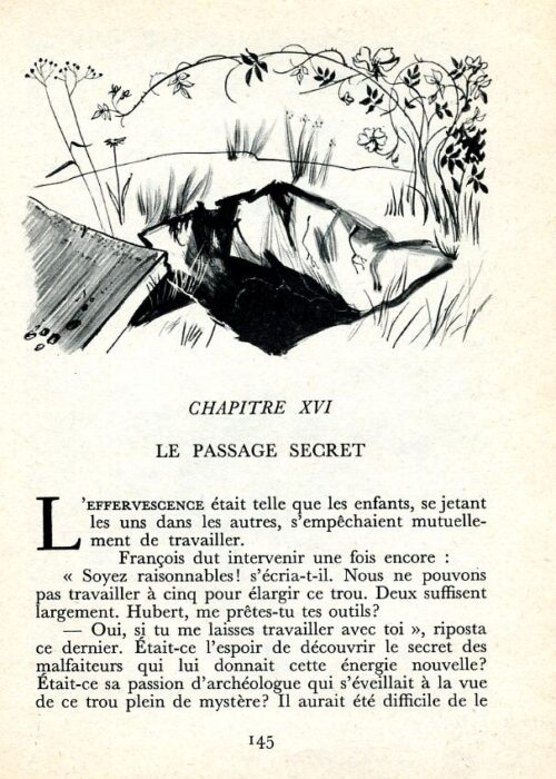 BLYTON Distingue - 19