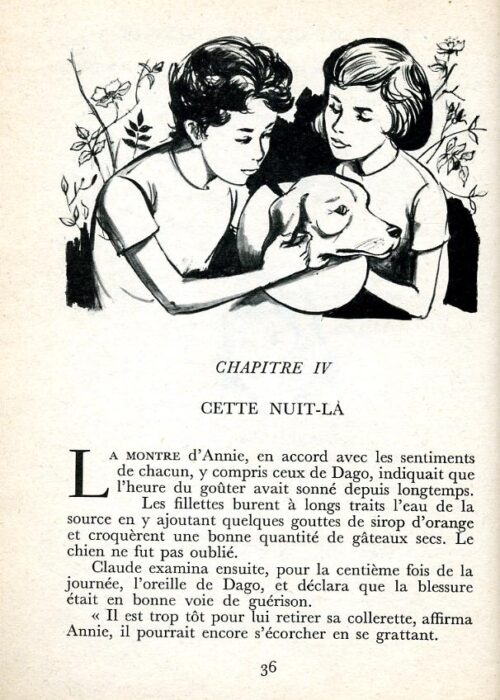 BLYTON Distingue - 4