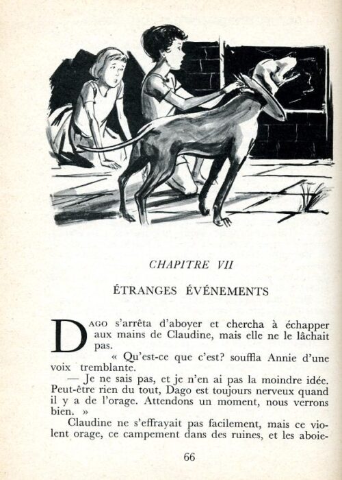 BLYTON Distingue - 7