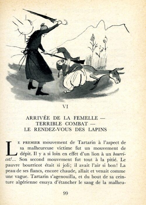 DAUDET Tarascon - 29