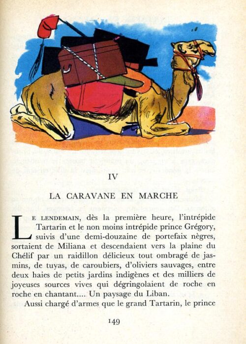 DAUDET Tarascon - 43