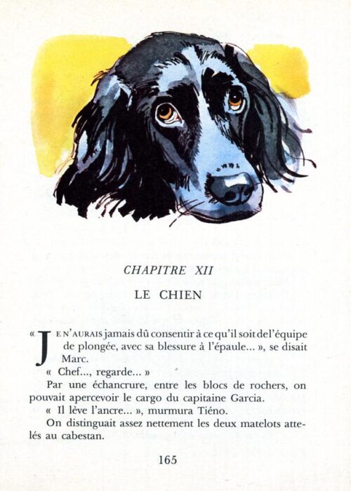 GUILLOT Grand - 26