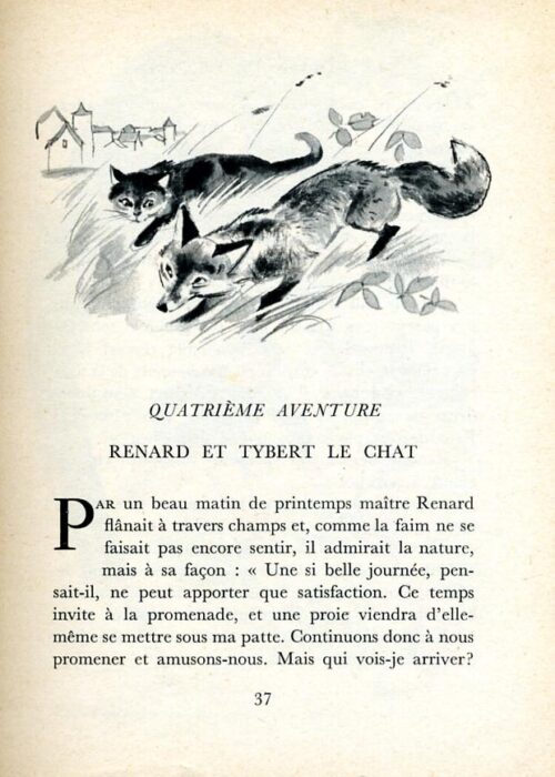 LARRIEU Renard - 14