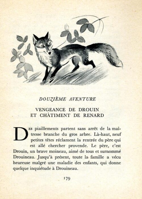 LARRIEU Renard - 36
