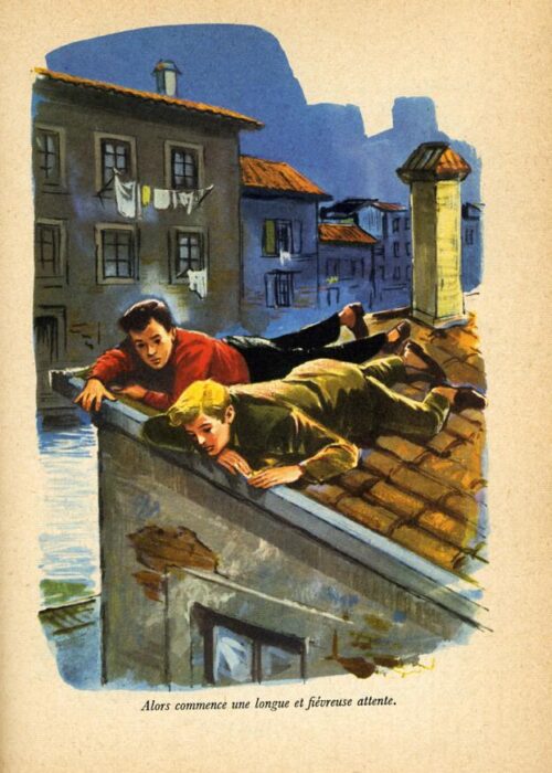 BONZON Cheval - 26