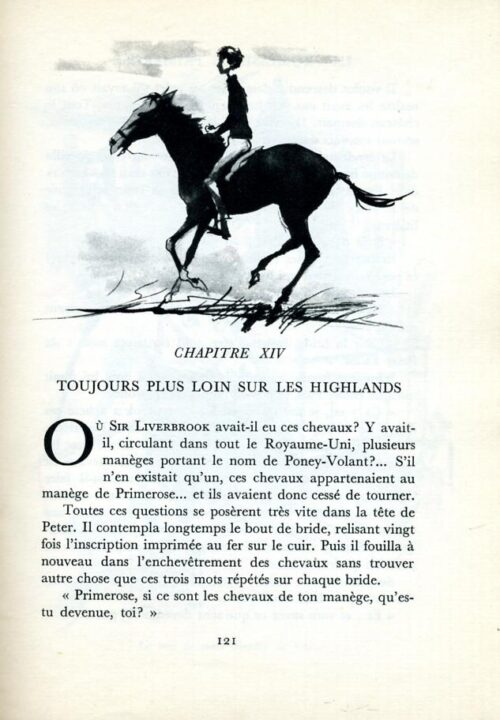 BONZON Primerose - 28