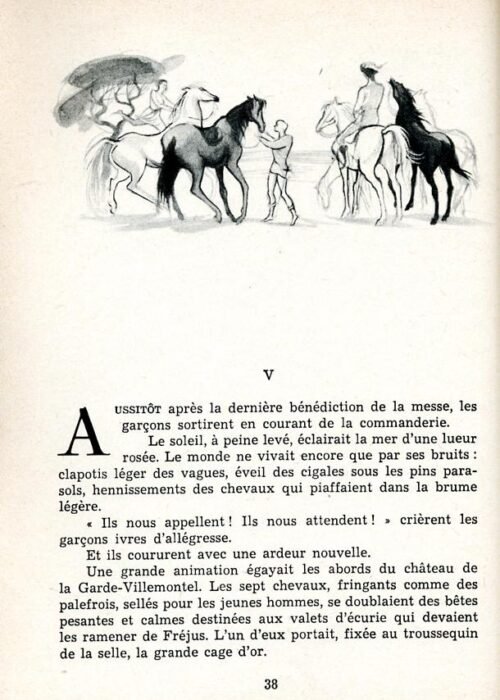 MOREAU Perroquet - 10