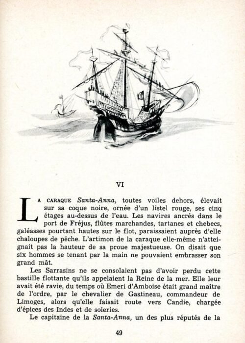 MOREAU Perroquet - 11