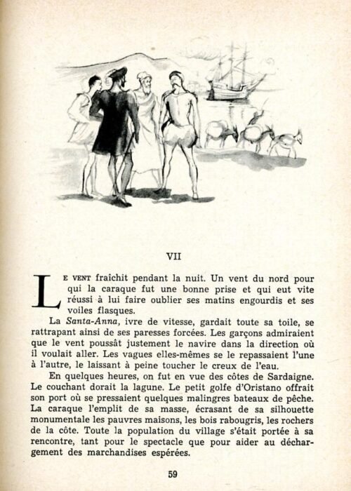 MOREAU Perroquet - 13