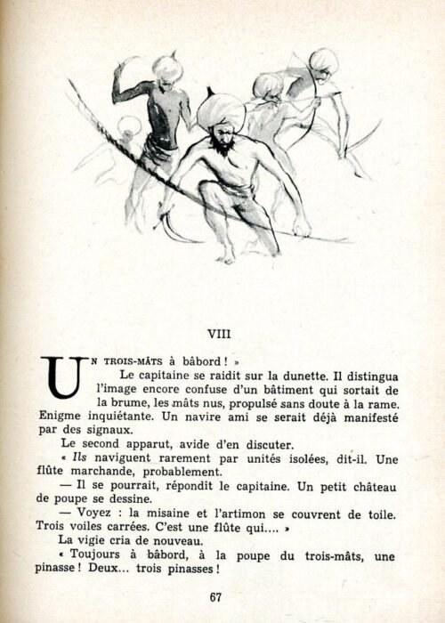 MOREAU Perroquet - 15