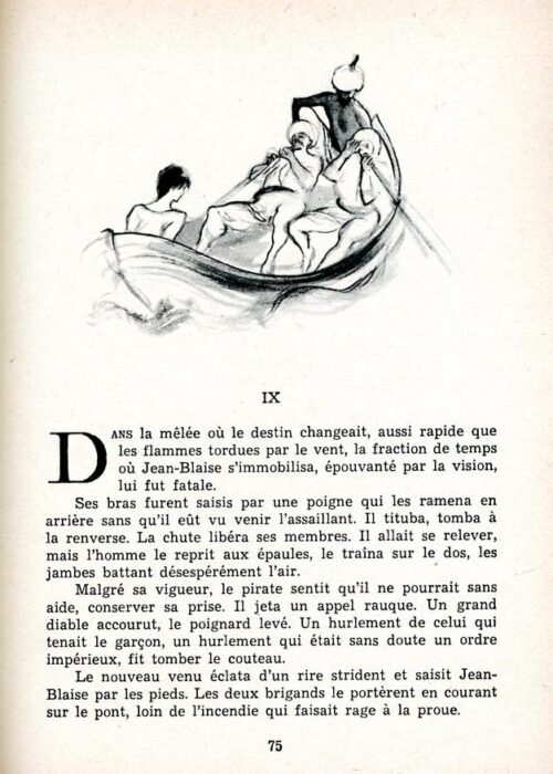 MOREAU Perroquet - 16