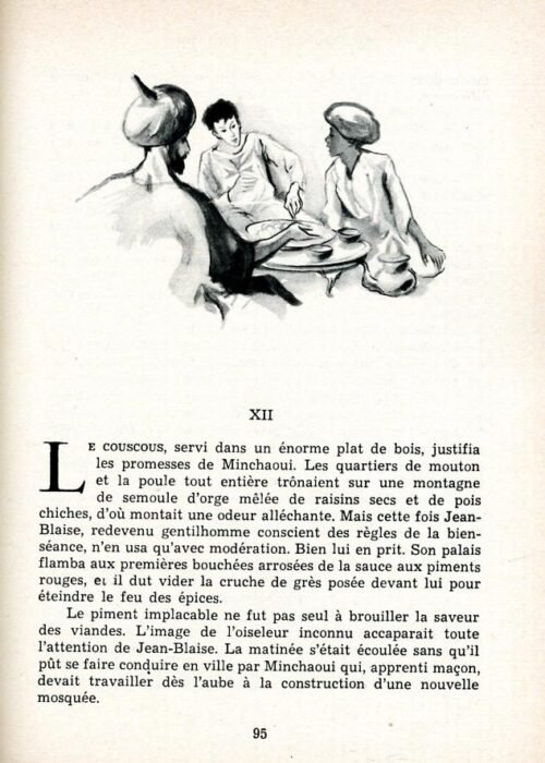 MOREAU Perroquet - 19