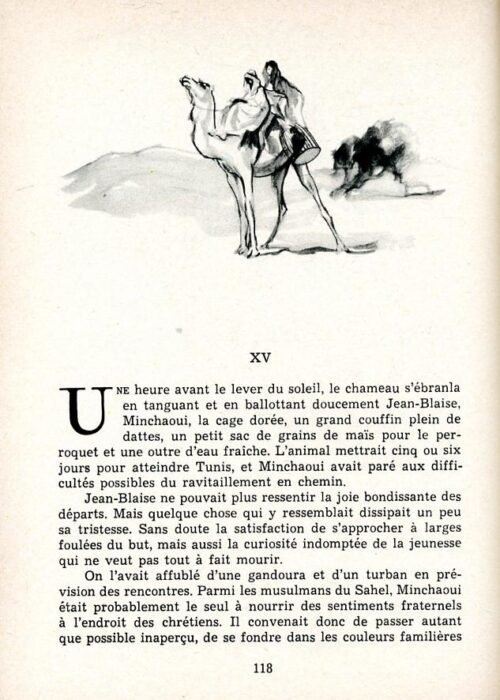 MOREAU Perroquet - 21