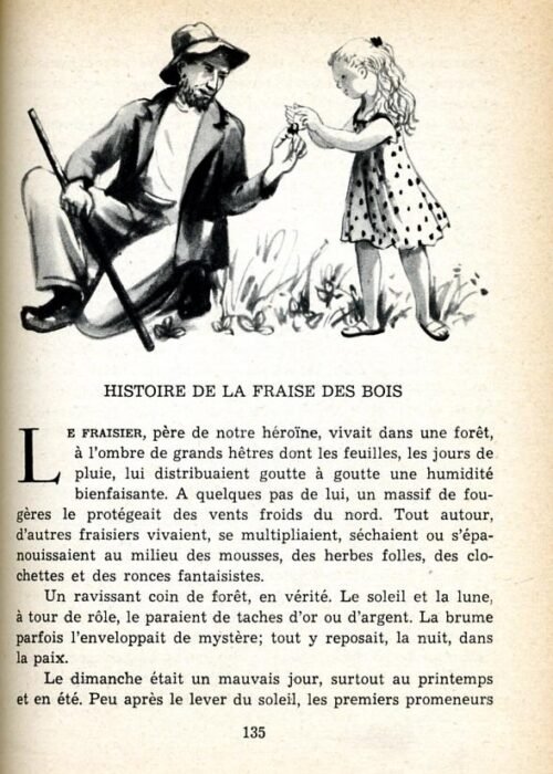 PINEAU Plume - 28