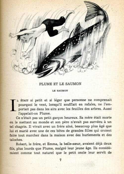 PINEAU Plume - 8
