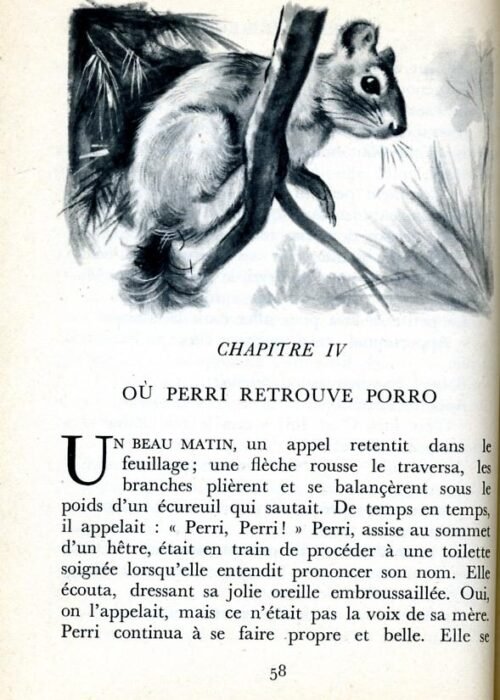 SALTEN Perri - 13