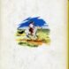 RAUZIER Camargue - 2
